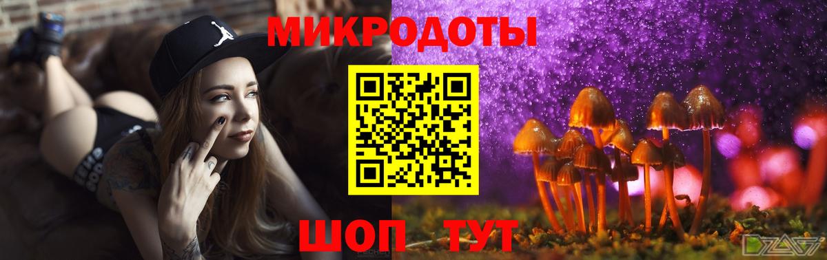 Тверь  Псилоцибиновые грибы Cubensis  Вход с VPN 